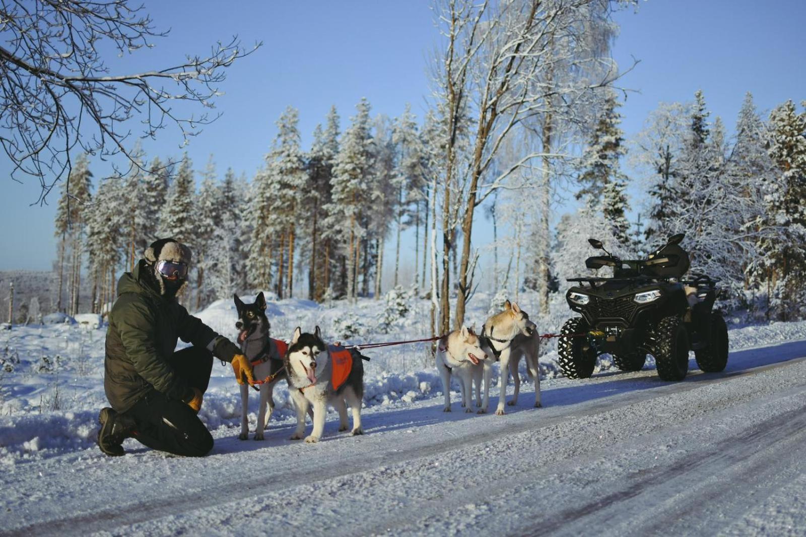 Arctic Ranch Villa Överkalix Екстериор снимка