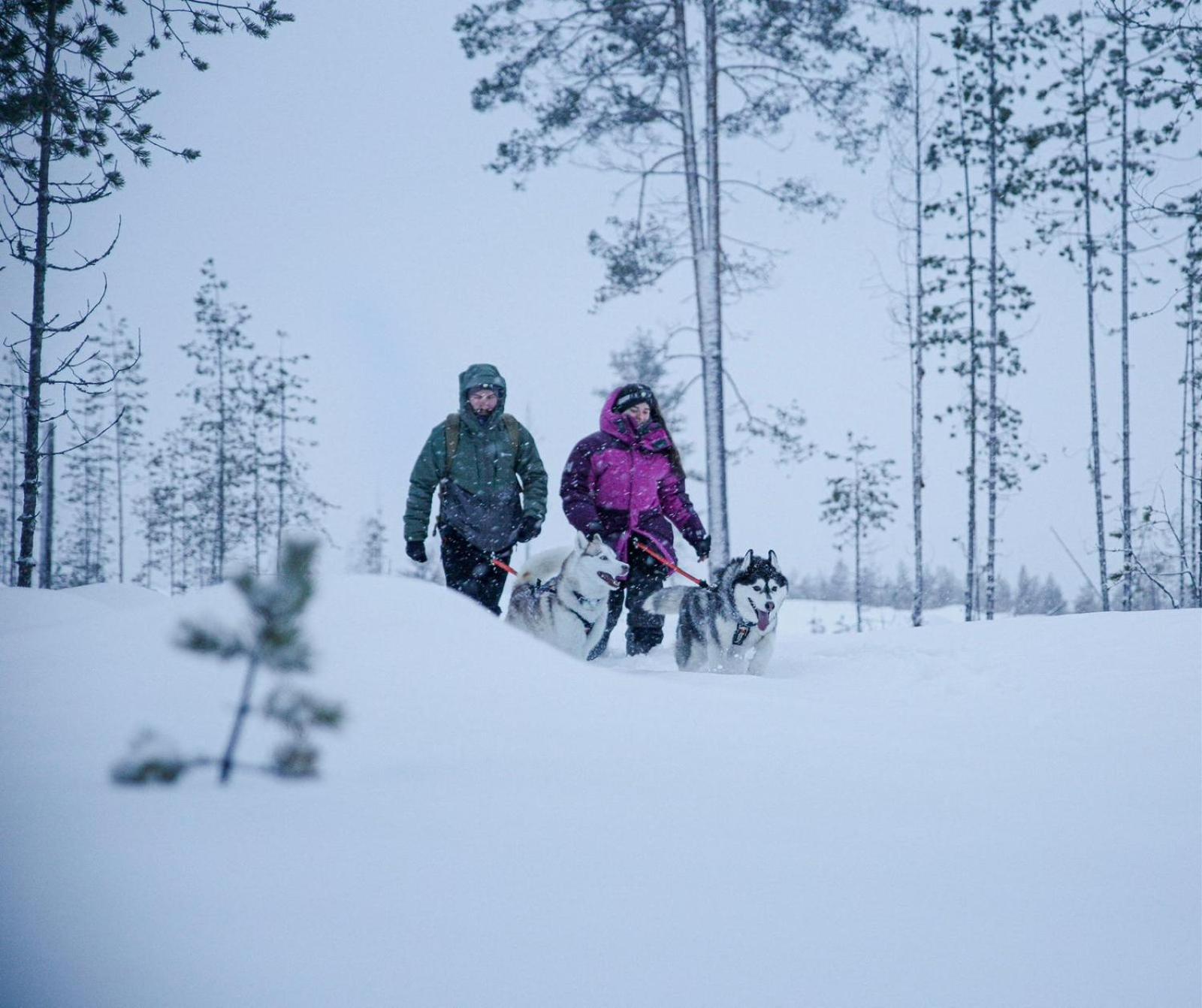 Arctic Ranch Villa Överkalix Екстериор снимка